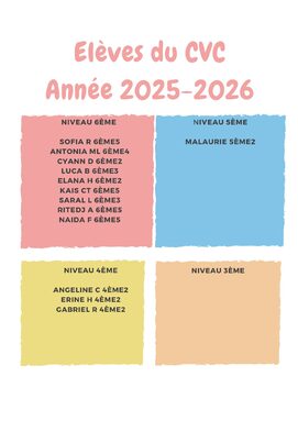 Elèves élus au CVC.jpg